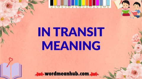in transit meaning