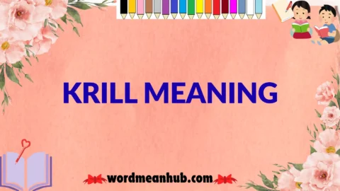 krill meaning