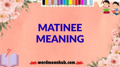 matinee meaning