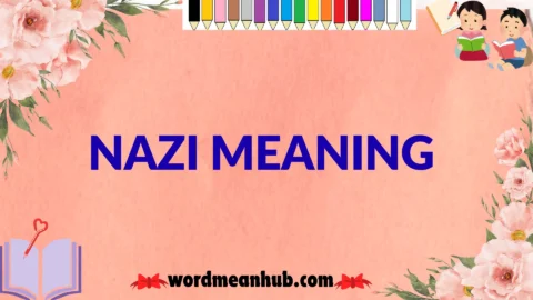 nazi meaning