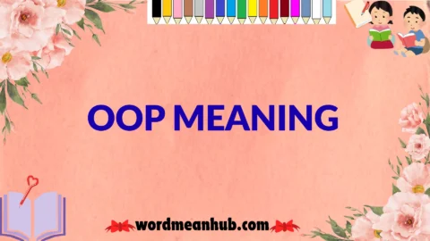 oop meaning