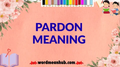 pardon meaning