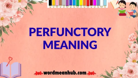 perfunctory meaning