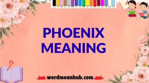 phoenix meaning