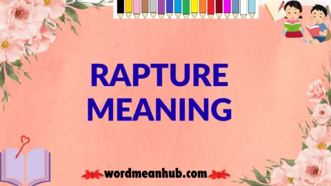 rapture meaning