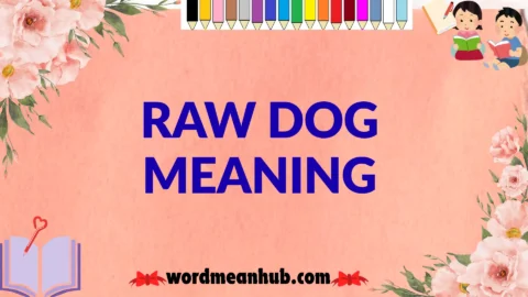raw dog meaning