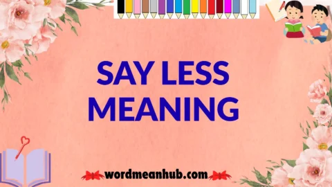 say less meaning