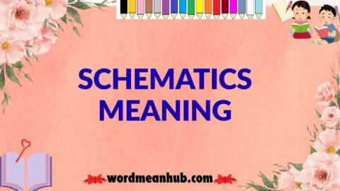 schematics meaning