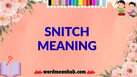 snitch meaning
