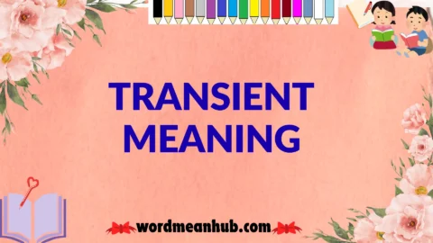 transient meaning