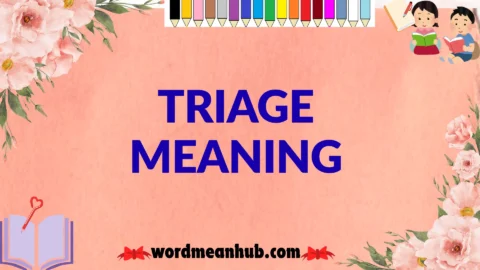 triage meaning