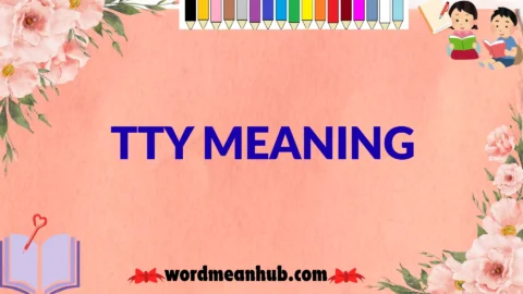 tty meaning