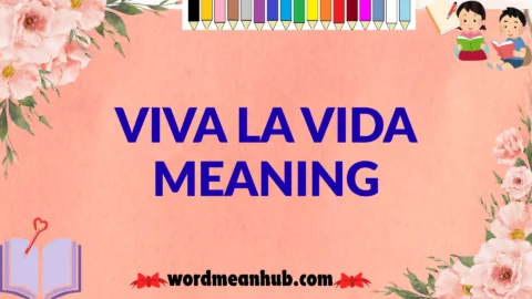 viva la vida meaning