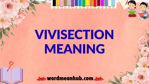 vivisection meaning
