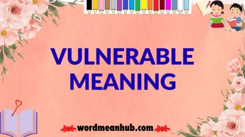 vulnerable meaning