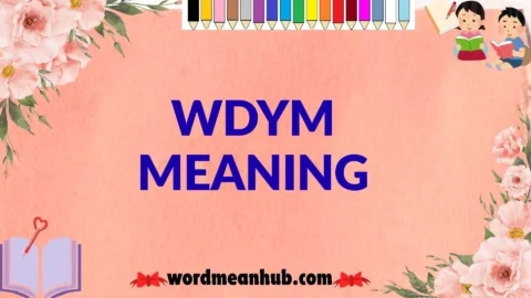 wdym meaning