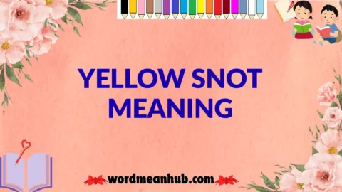 yellow snot meaning