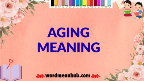 aging meaning