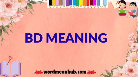 bd meaning