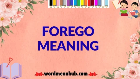 forego meaning