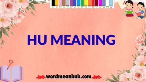 What Does Hoe Meaning Mean? Definition, Slang Usage & Real Examples ...