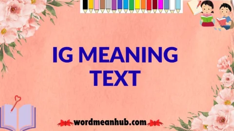 ig meaning text