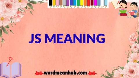 js meaning