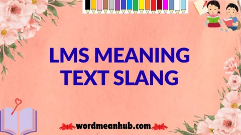 lms meaning text slang