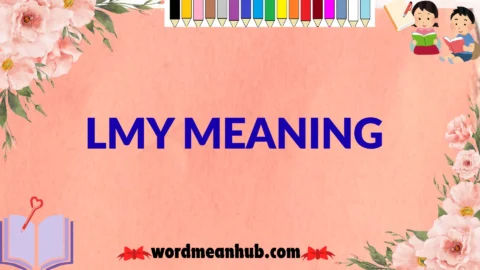 lmy meaning