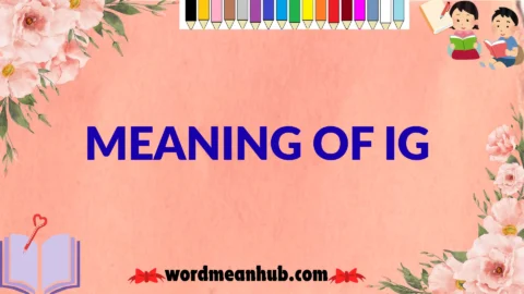 meaning of ig