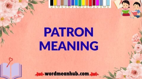 patron meaning