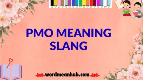 pmo meaning slang