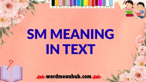 sm meaning in text