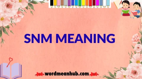 snm meaning