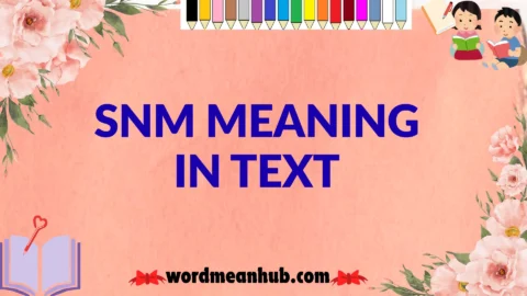 snm meaning in text