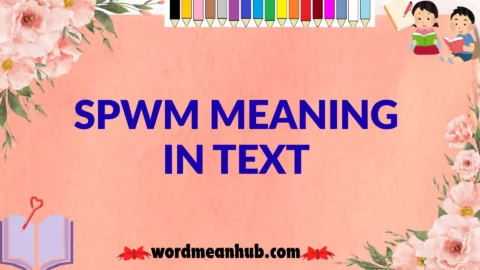 spwm meaning in text