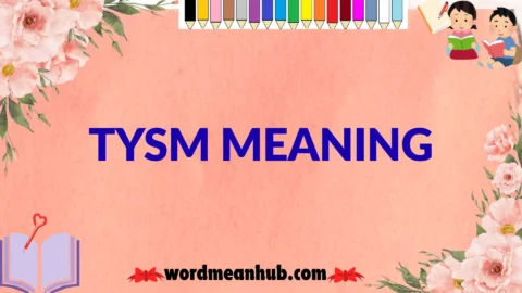 tysm meaning