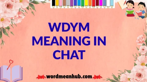 wdym meaning in chat