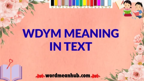 wdym meaning in text