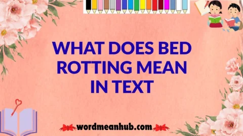 What Does Bed Rotting Mean in Text