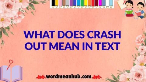 What Does Crash Out Mean in Text