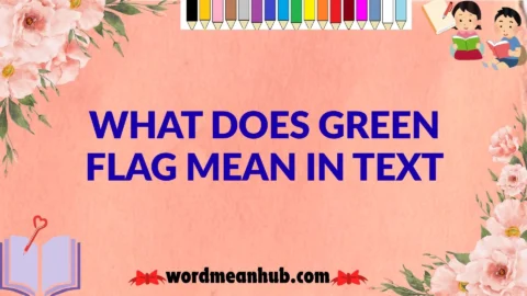 What Does Green Flag Mean in Text