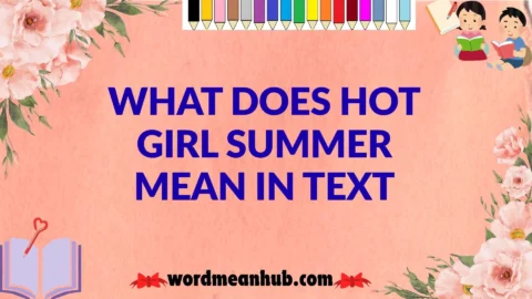 What Does Hot Girl Summer Mean in Text
