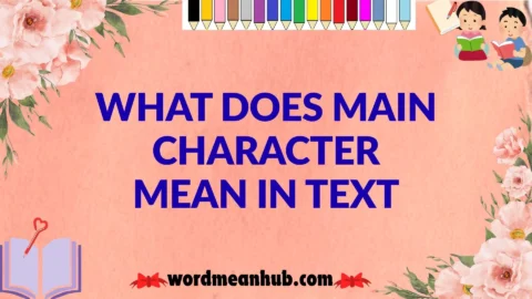 What Does Main Character Mean in Text