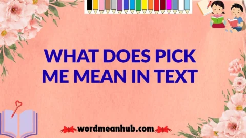 What Does Pick Me Mean in Text