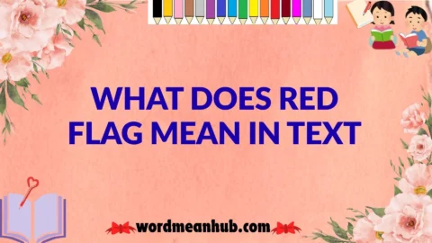 What Does Red Flag Mean in Text