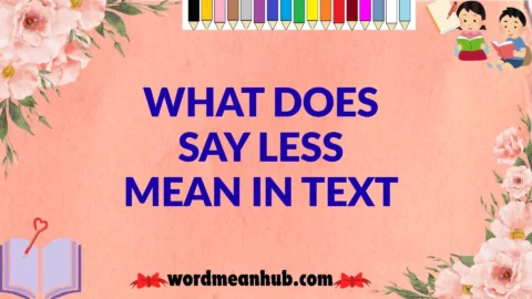 What Does Say Less Mean in Text