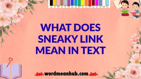 What Does Sneaky Link Mean in Text