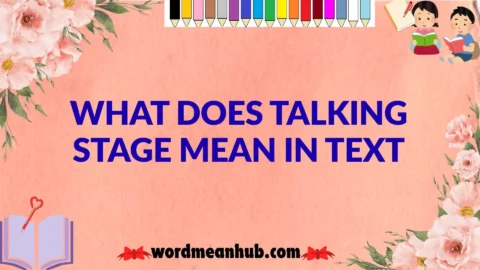 What Does Talking Stage Mean in Text