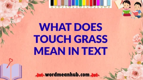 What Does Touch Grass Mean in Text